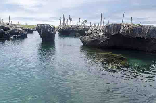 55 - Ecuador - islas Galapagos - isla Isabela - los Tuneles